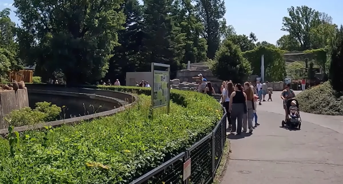 Droższe bilety do zoo w Warszawie. Nowy cennik od kwietnia 2026 roku 