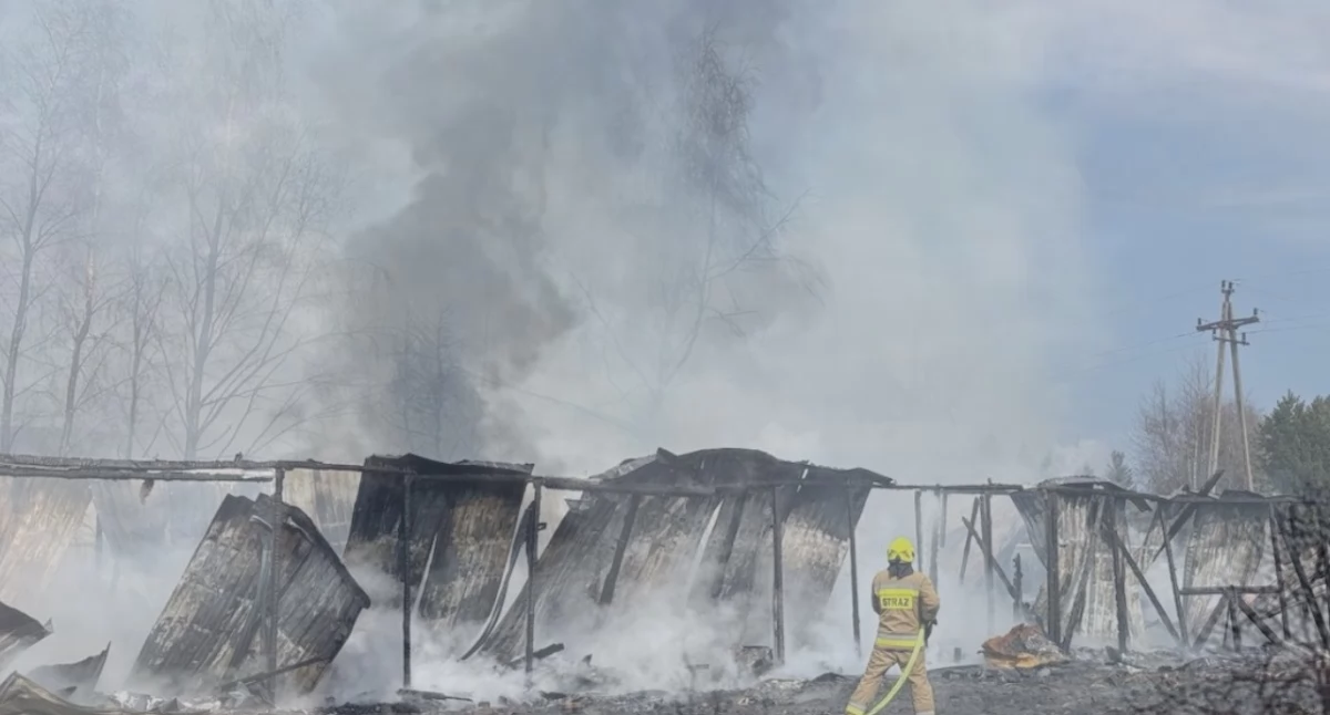 Groźny pożar w zakładzie w Chełmnie. Ewakuowano mieszkańców, trwa dogaszanie pogorzeliska