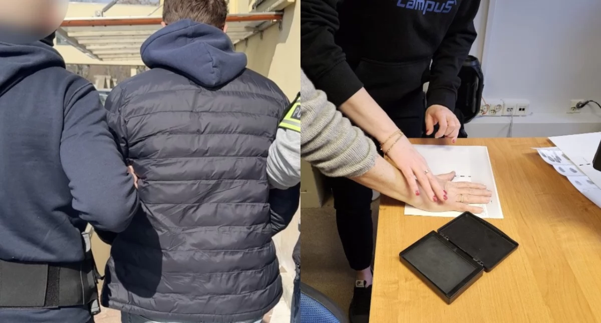 Diagności i pośrednicy zatrzymani. Śledczy ujawnili proceder fałszywej rejestracji tysięcy pojazdów