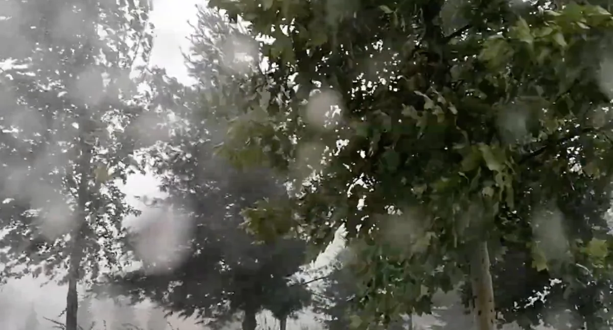 Pogoda i alerty, Silny wiatr nadciąga Polskę wydaje ostrzeżenia - zdjęcie, fotografia