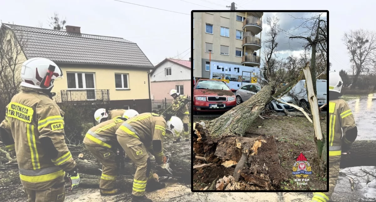 Wichury i pożary traw na Podkarpaciu. Strażacy interweniowali ponad 200 razy, usuwając skutki silnego wiatru i zagrożeń