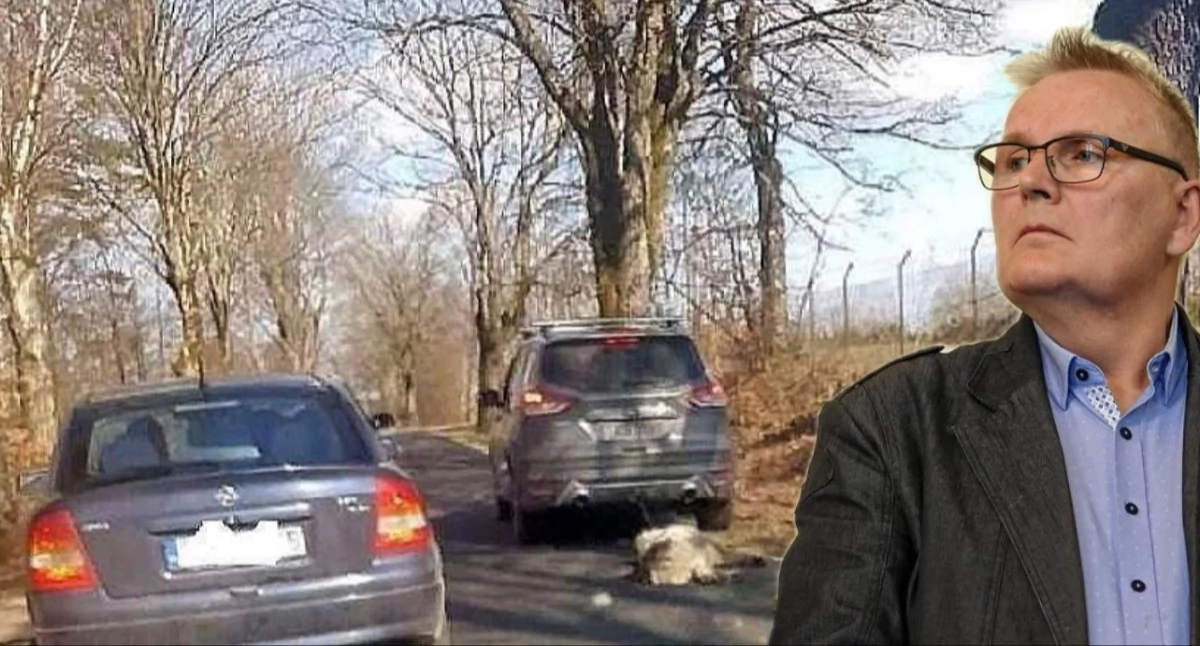 Prawo karne, Nominat ciagnął autem Schorowany uniknąć - zdjęcie, fotografia