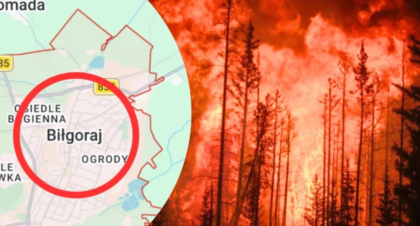 Pożar w Biłgoraju objął 300 ha lasów. Sprawdź możliwe przyczyny, rolę człowieka i wpływ zmian klimatycznych na rosnącą liczbę pożarów w Polsce