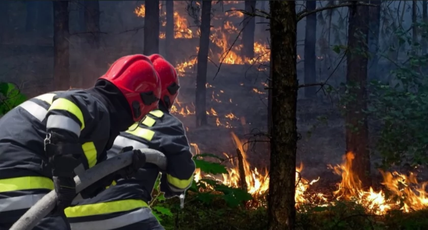 Strażacy i śmigłowce podczas akcji gaszenia ogromnego pożaru w Puszczy Solskiej. Ogień objął setki hektarów lasów w powiecie biłgorajskim.
