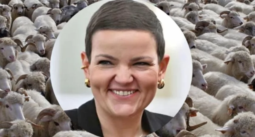 Ministra kultury Marta Cienkowska nazwała projekt jedną z najbardziej patriotycznych ustaw i przywołała Norwida umierającego w ubóstwie. Tymczasem próg dopłat sięga około 5800 złotych — więcej, niż zarabiają miliony Polaków na płacy minimalnej