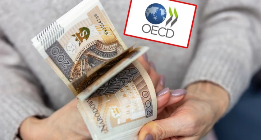 Rekordowe wyniki funduszy emerytalnych w Polsce. Mimo sukcesu poziom oszczędności Polaków nadal pozostaje niski na tle Europy