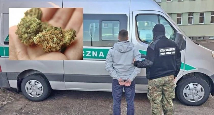 Straż Graniczna przejęła 1194 kilogramy marihuany ukrytej w kontenerach z cegłami laterytowymi z Tajlandii. Szacunkowa wartość zabezpieczonego towaru to około 48 milionów złotych