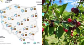 IMGW ostrzega: Burze z gradem i wichurami już dziś. Wiadomo, gdzie będzie najgorzej