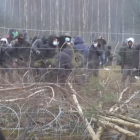 Imigranci forsujący zasieki na granicy Polski i Białorusi 