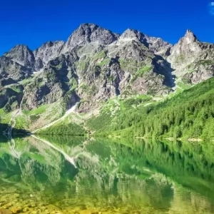 Zdjęcie: Polityka wiadomości Wiadomości Polityka Analizy społeczne checkPRESS