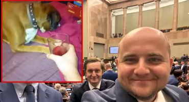 Dariusz Matecki dręczył psa? 