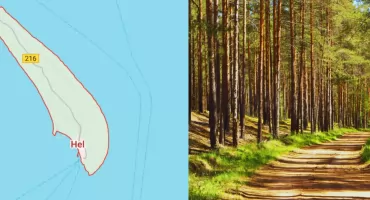 Hel Happiness: Kontrowersyjna inwestycja kosztem 400 drzew na Cyplu Helskim