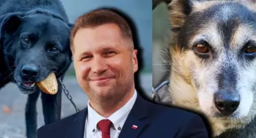 Pies na łańcuchu, bezpieczeństwo czy złudna kontrola? Behawioryści odpowiadają