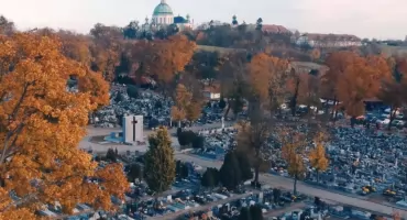 Darmowe sprzątanie nagrobków dla seniorów w Poznaniu – kto może skorzystać?
