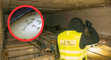 KAS zlikwidowała nielegalną bimbrownię w gminie Mońki. Nagranie i zdjęcia z fabryki
