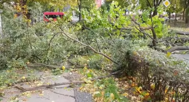 Ulewy i wichury nad Polską. Siedem osób rannych, setki interwencji strażaków