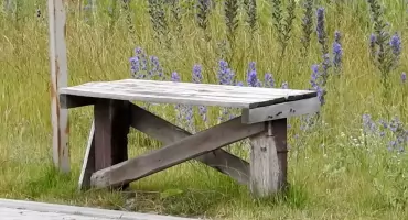 Białystok: 3,5-letnia dziewczynka znaleziona w piżamie na przystanku. Policja bada sprawę