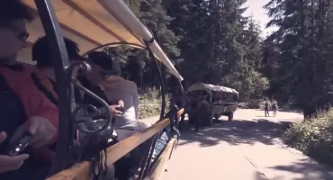 Politechnika Śląska zbadała, z jaką siłą konie ciągną wozy do Morskiego Oka