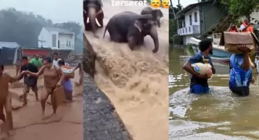 Powodzie na Sumatrze: 631 ofiar i milion ewakuowanych. najnowsze dane [ZDJĘCIA]