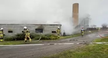 Pożar kurnika w powiecie kłobuckim. Spłonęło 23 tysiące kurcząt