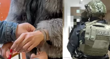 Policja rozbiła gang czerpiący zyski z prostytucji. Agencja działała w Tychach [NAGRANIE]