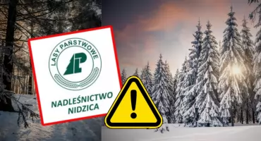 Zakaz wstępu do lasu. Nadleśnictwo Nidzica ostrzega przed śniegiem