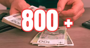 Wnioski o 800 plus od lutego. Zobacz kto, kiedy i jak może złożyć wniosek
