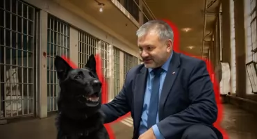 Ministerstwo Sprawiedliwości wdraża nową strategię ochrony zwierząt