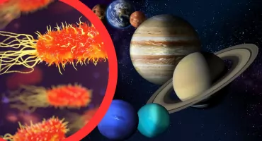 Naukowcy sprawdzili, czy bakterie mogą przetrwać podróż w kosmosie