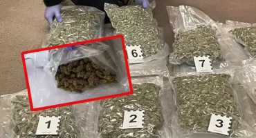 Łódzka KAS przechwyciła 13 kg marihuany. Narkotyki nadane w Hiszpanii