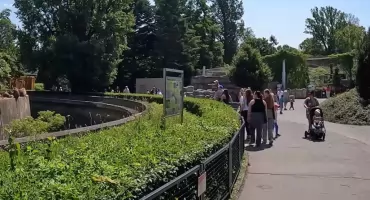 Popularna atrakcja w Warszawie tylko dla wybranych? Rosną ceny biletów 