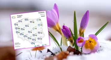 Pogoda na początek tygodnia: Deszcz, burze i śnieg w górach. IMGW ostrzega przed zmianami