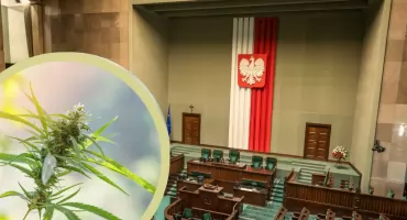 Depenalizacja marihuany w Polsce. Projekt trafił do Sejmu i wywołał spór