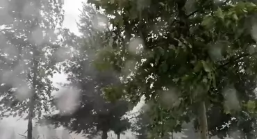 Silny wiatr nadciąga nad Polskę. IMGW wydaje ostrzeżenia