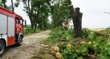 Wichura nad Polską. Gdzie będzie najgorzej? Prognoza IMGW