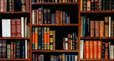 Wrocław stawia na kulturę. Rusza wyjątkowy projekt