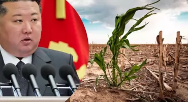 Susza uderza w Koreę Północną. Sytuacja robi się poważna