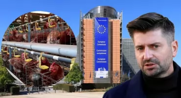 UE chce zakończyć epokę klatek. Śmiszek zapowiada spore wsparcie dla rolników