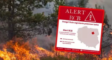 Zagrożenie pożarowe lasów Mazowsze. RCB wysyła alert do trzech powiatów