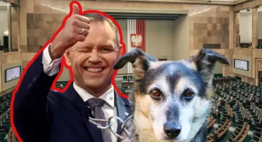 Sejm przyjął ustawę łańcuchową. Zakaz uwiązywania psów i kotów trafia do prezydenta